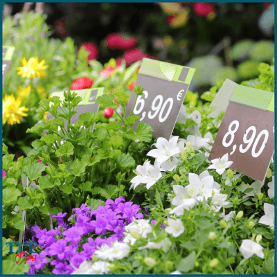 2,6 % d'inflation sur un an