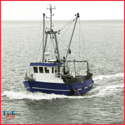 La filière pêche à nouveau dans la tempête