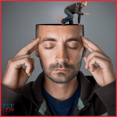 Vous n’êtes pas coupables !