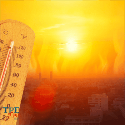 Canicule : nouvelles obligations pour les entreprises